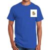 Ultra Cotton ® 100% US Cotton T Shirt Thumbnail